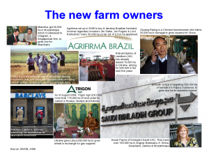 the global landgrabbers